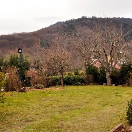 Au Bon Accueil La Rose Apartament *